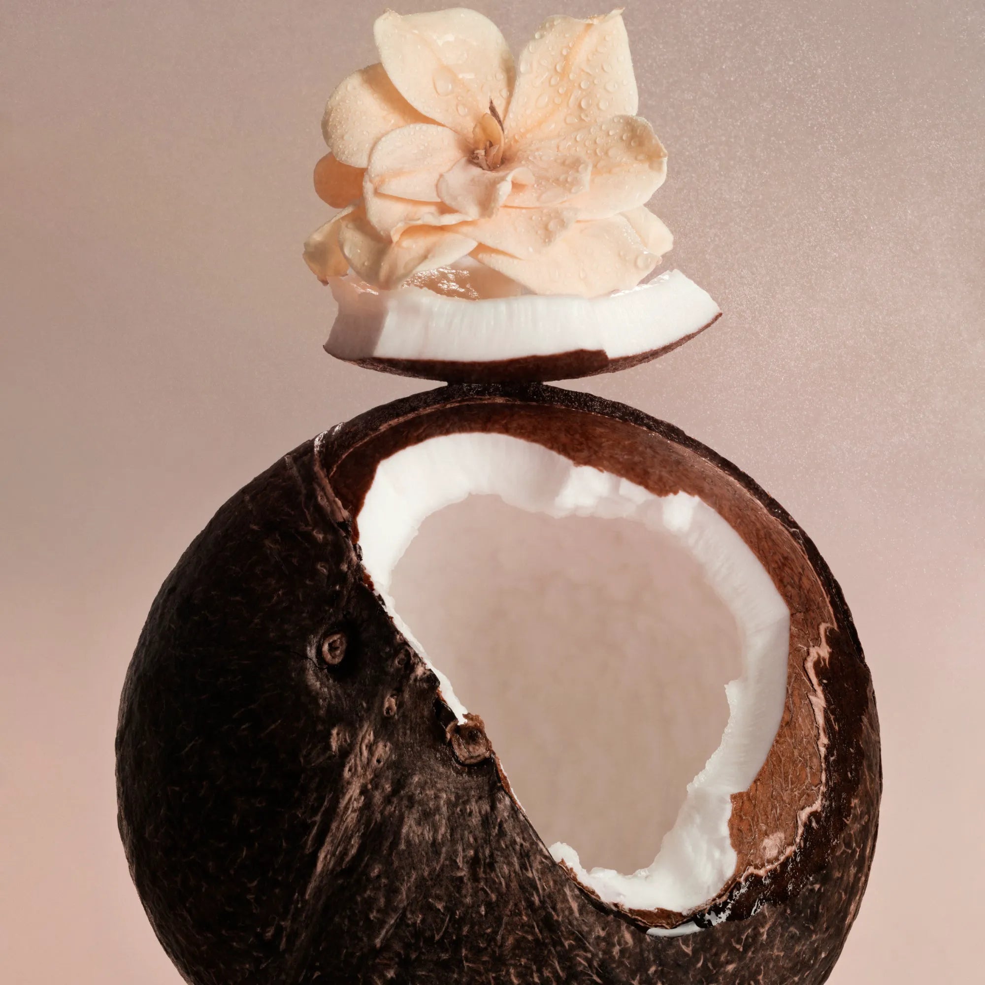 Coconut Skin Travel Size Body Mist