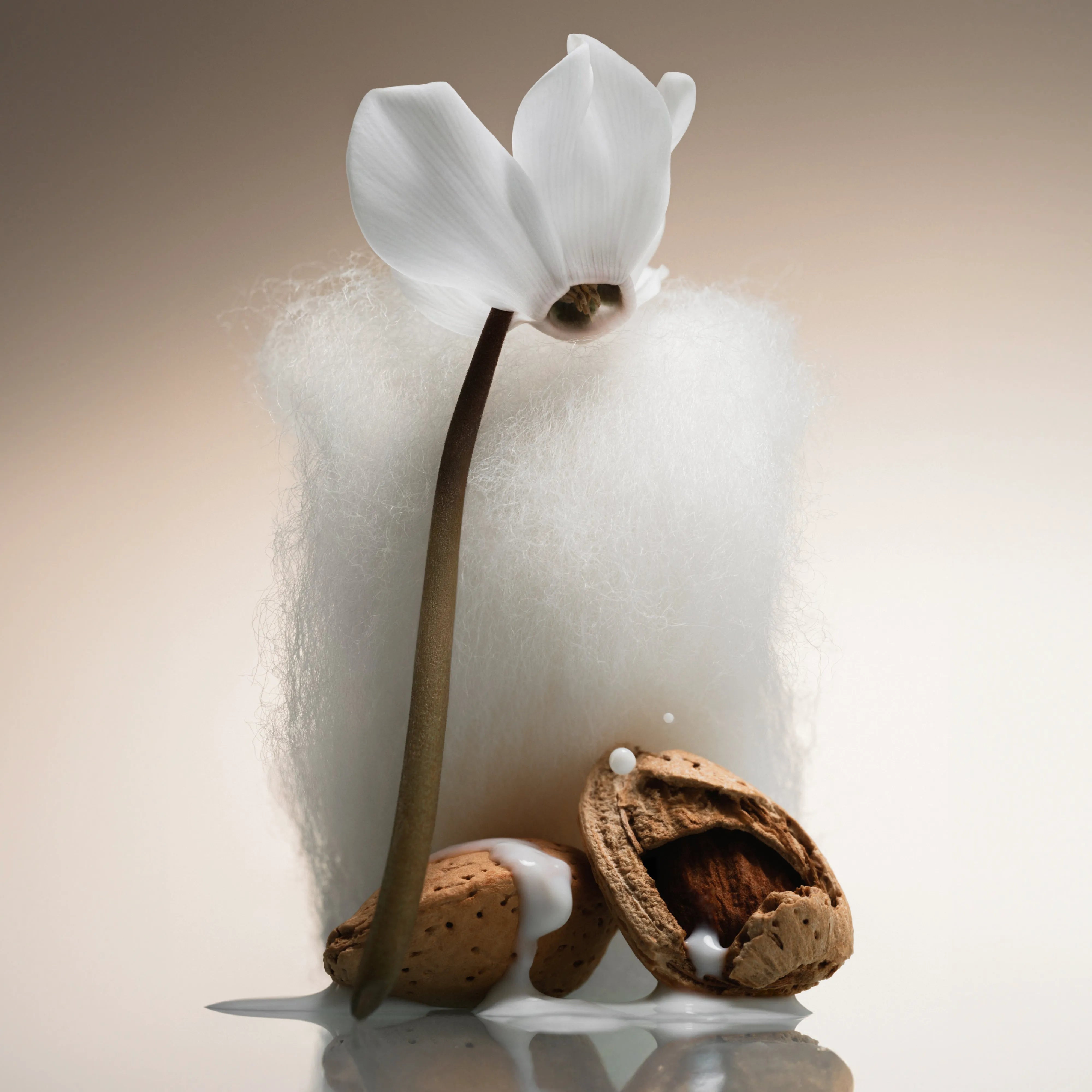 Cashmere Skin Body Mist