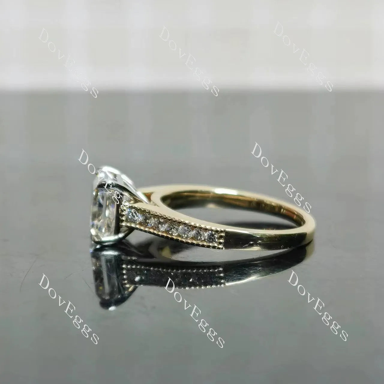 Tin’s Regalo-Radiant half eternity moissanite engagement ring| DovEggs