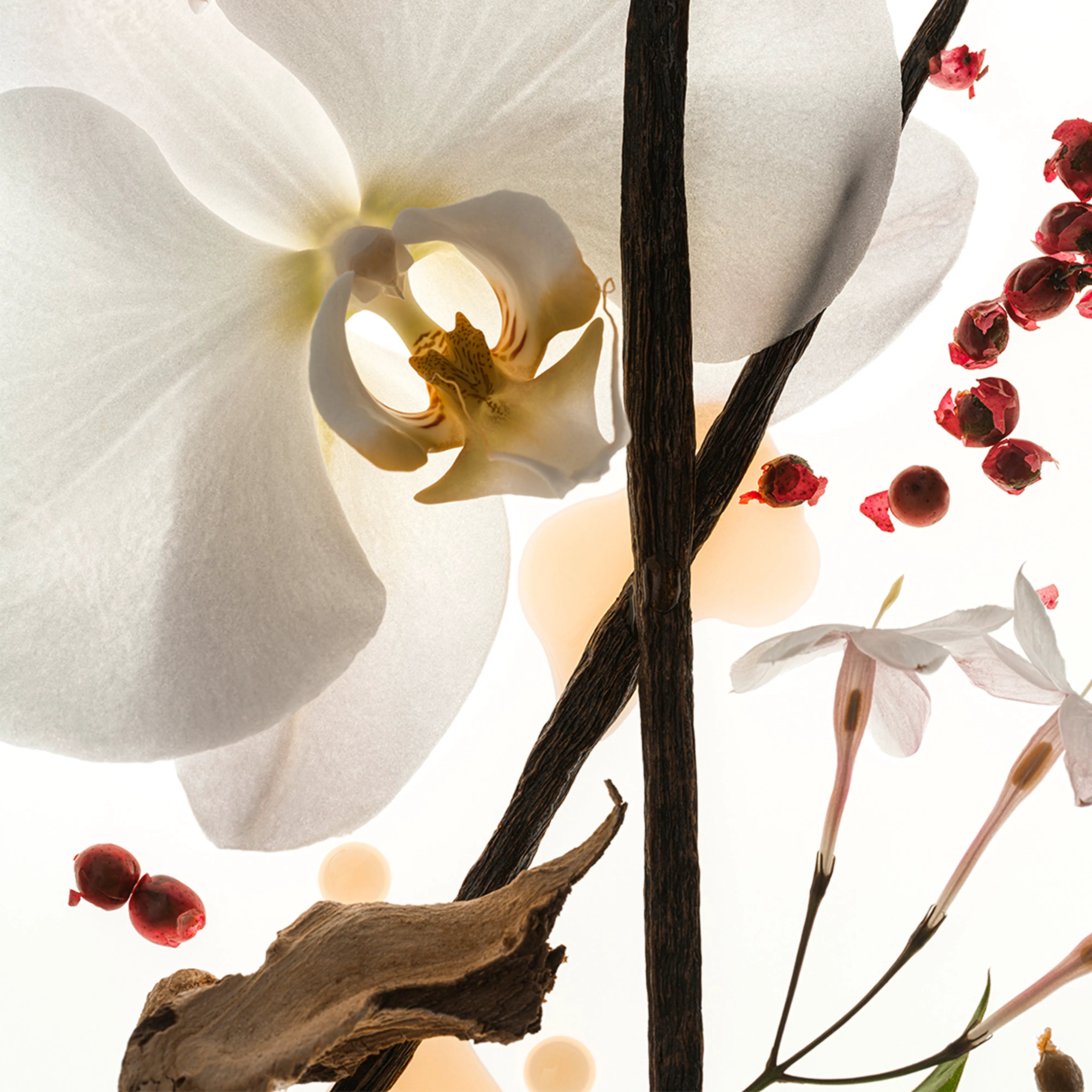 Vanilla Skin Body Oil