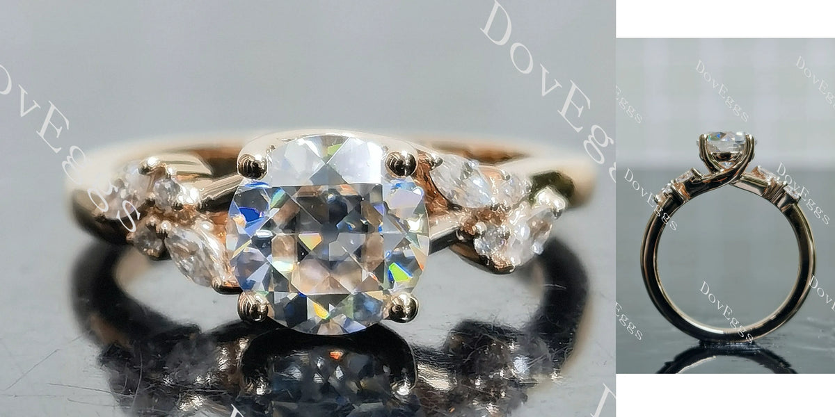Round side stones moissanite engagement ring| DovEggs
