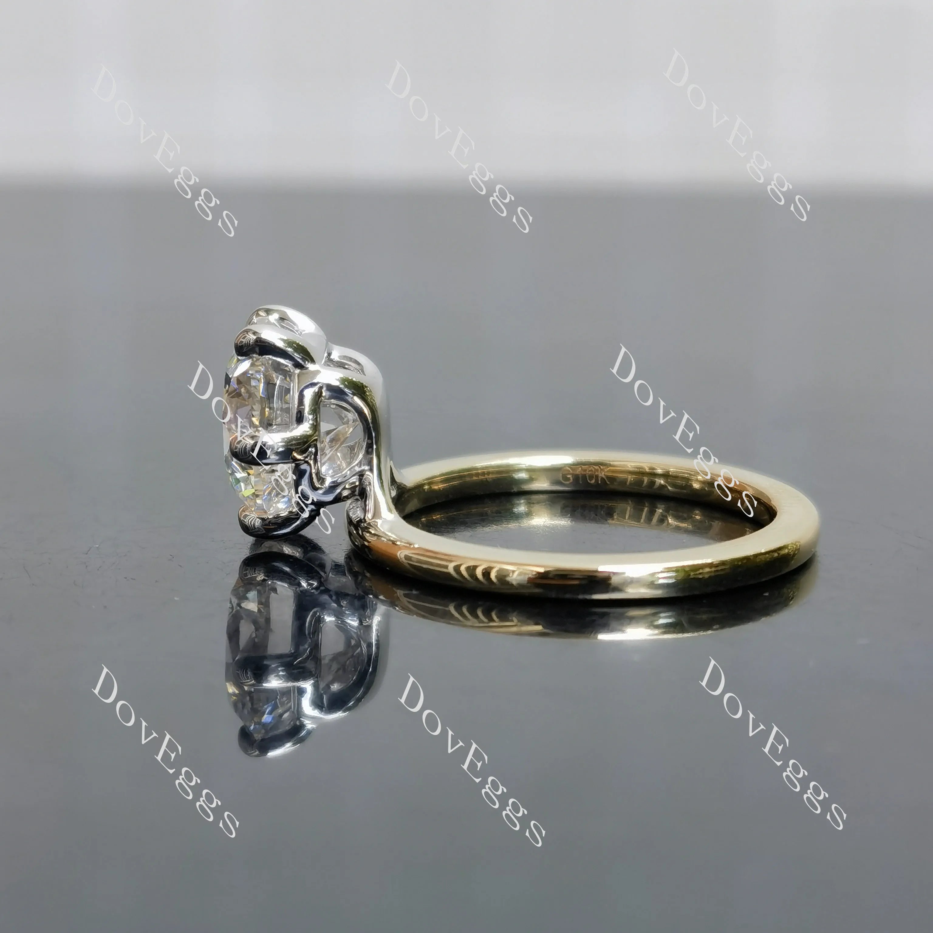 Round solitaire moissanite engagement ring| DovEggs