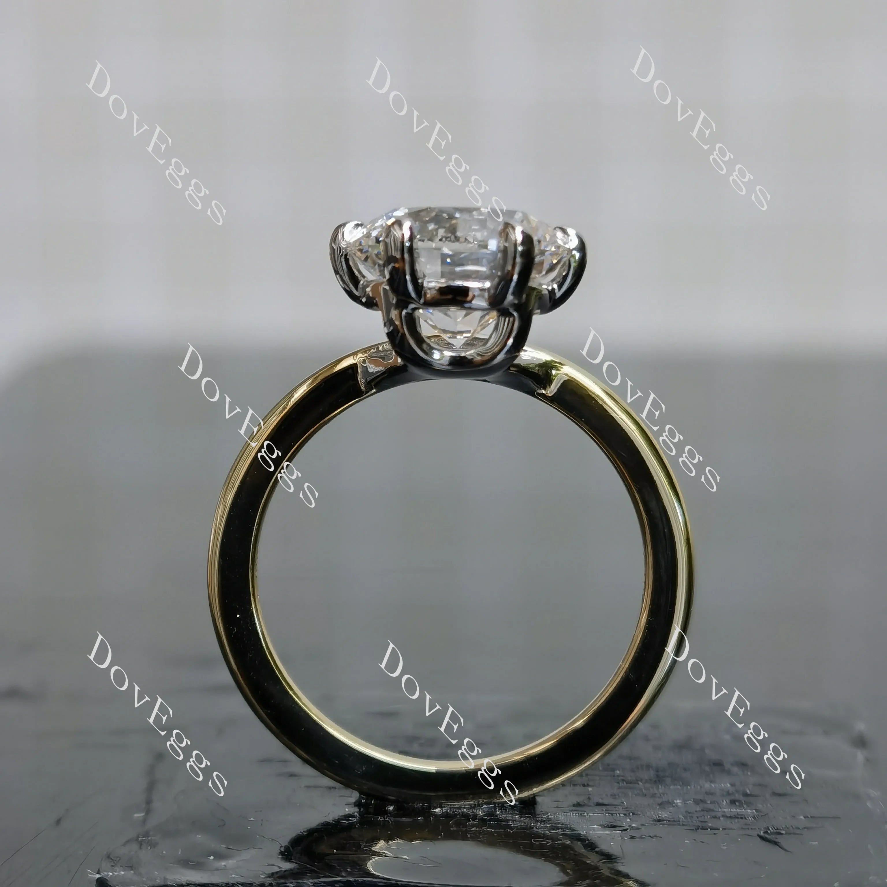 Round solitaire moissanite engagement ring| DovEggs