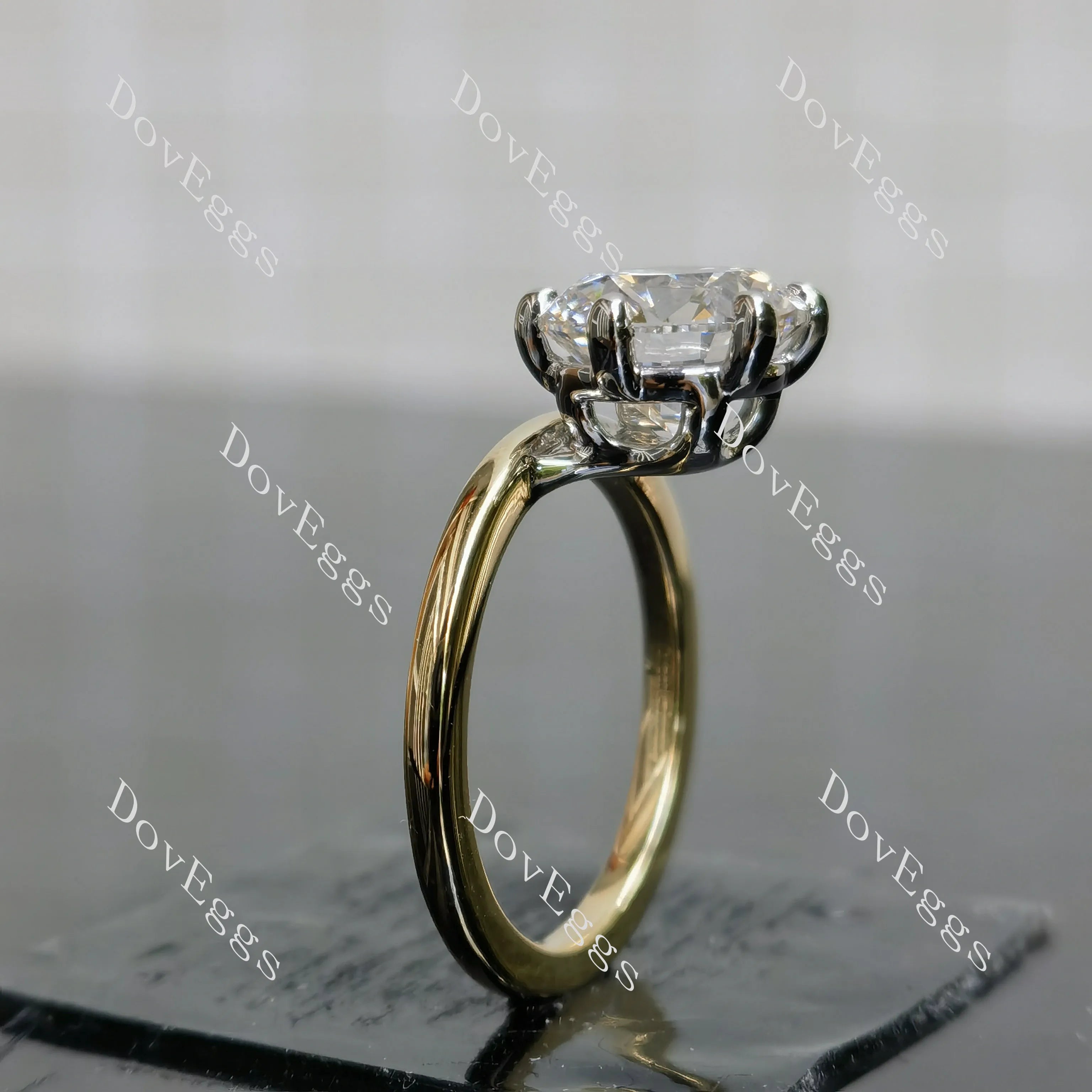 Round solitaire moissanite engagement ring| DovEggs