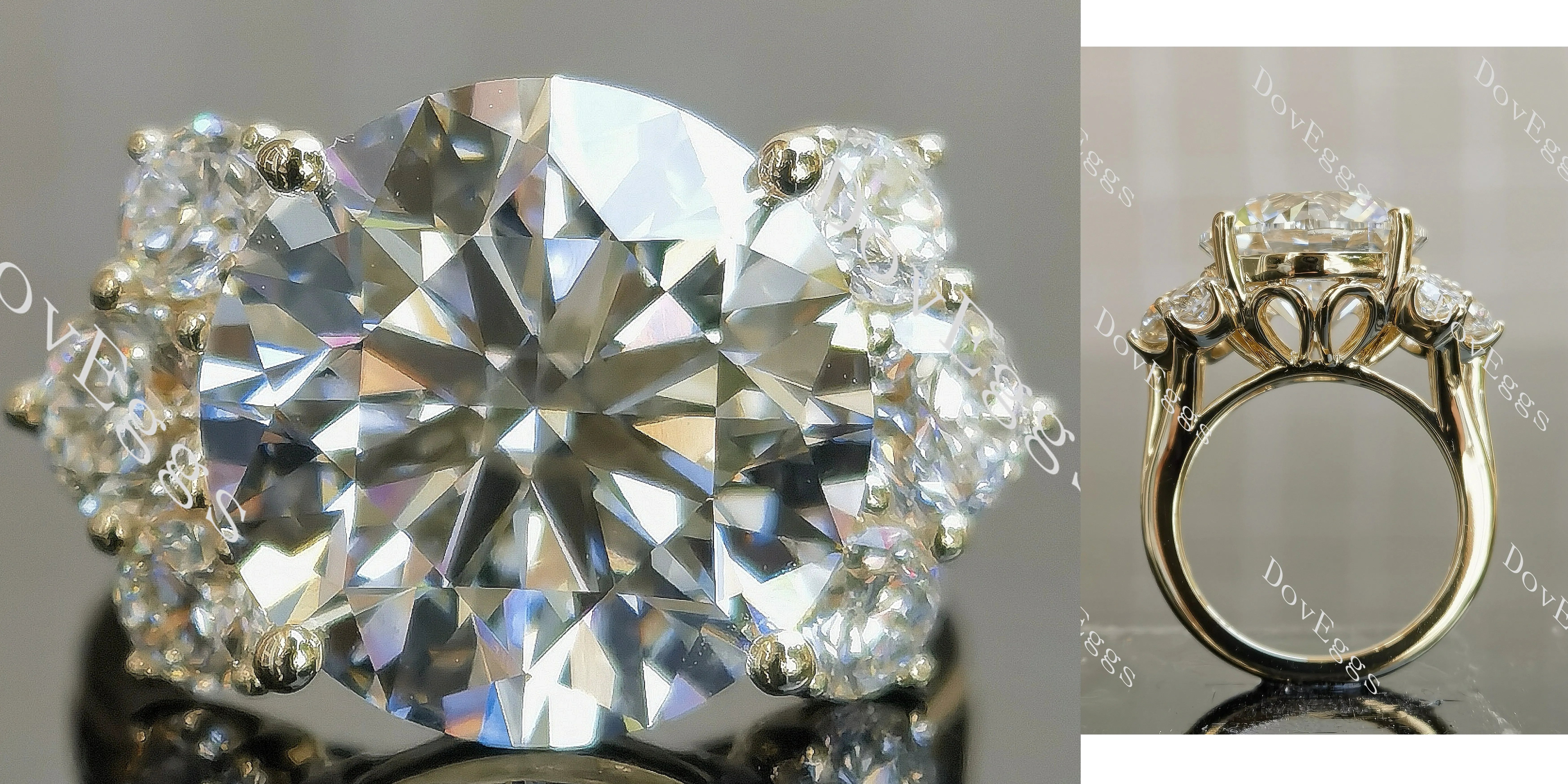 Round side stones moissanite engagement ring| DovEggs
