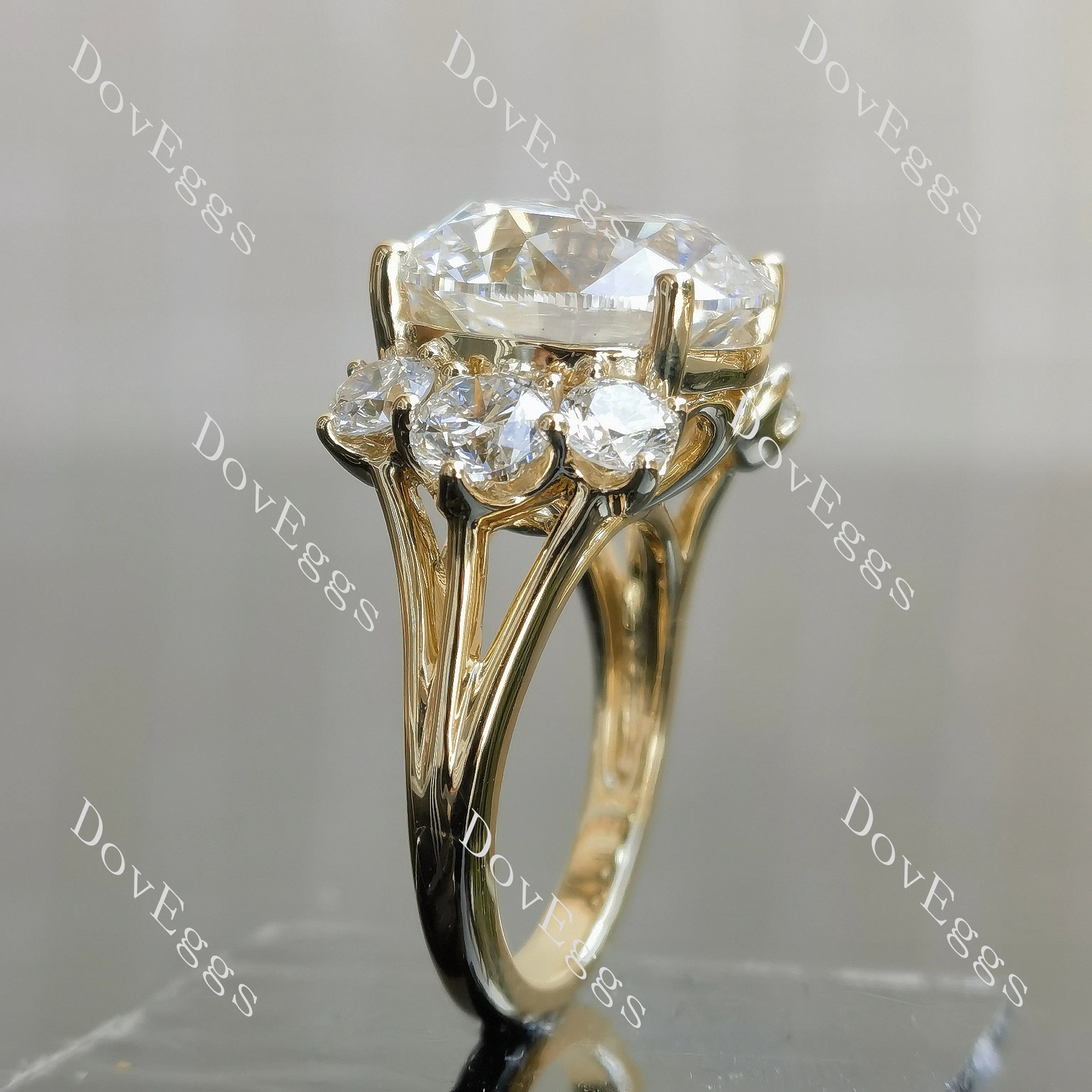 Round side stones moissanite engagement ring| DovEggs